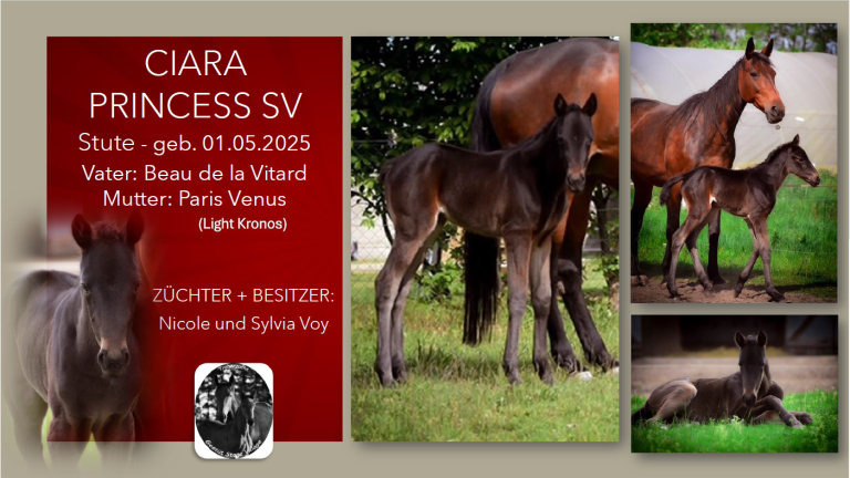 Ciara Princess SV