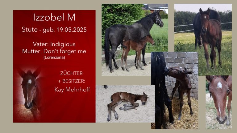 Izzobel M