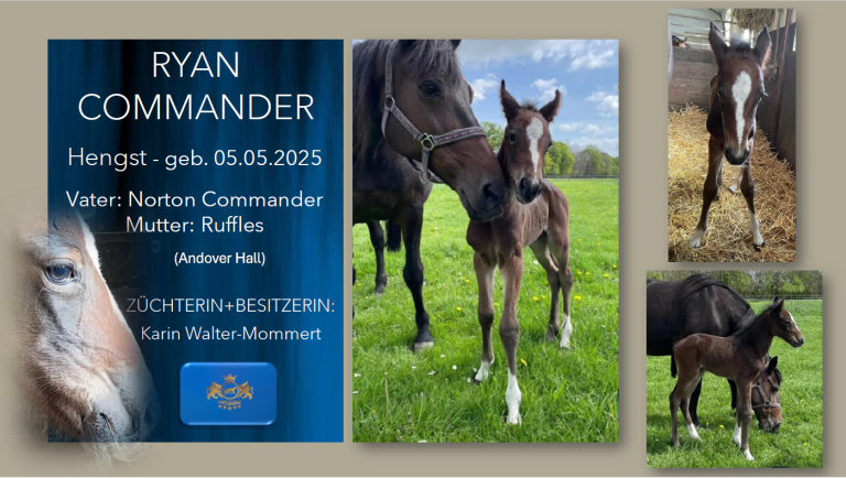 Ryan Commander