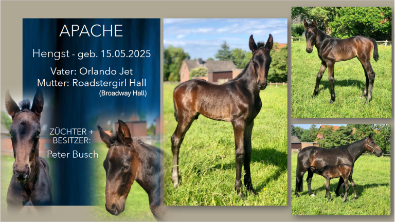 Apache