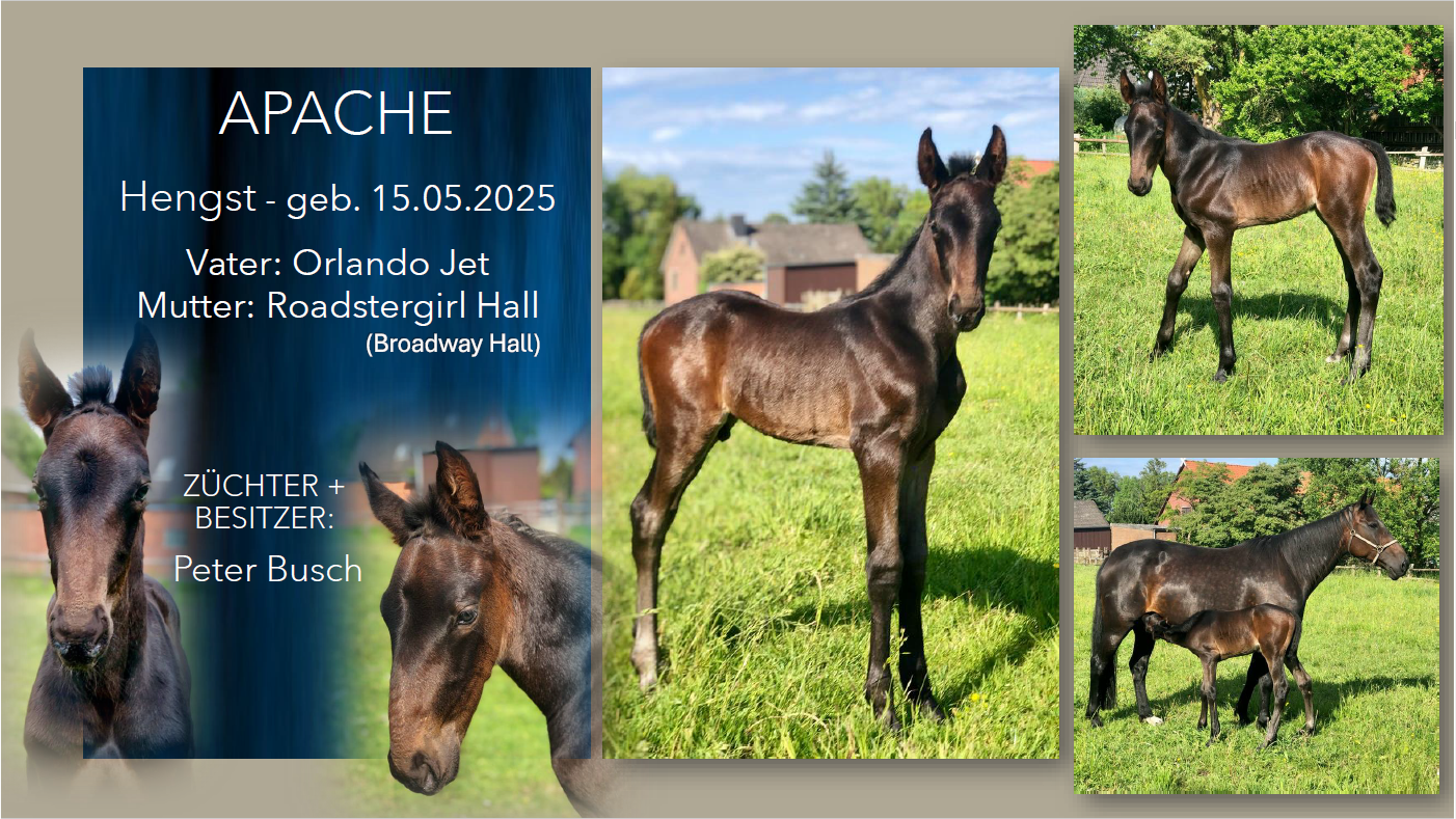 Apache