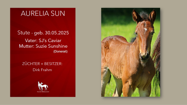 Aurelia Sun