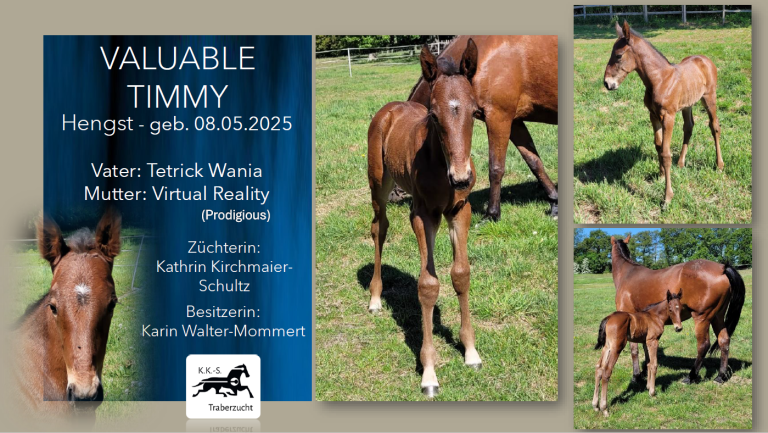 Valuable Timmy