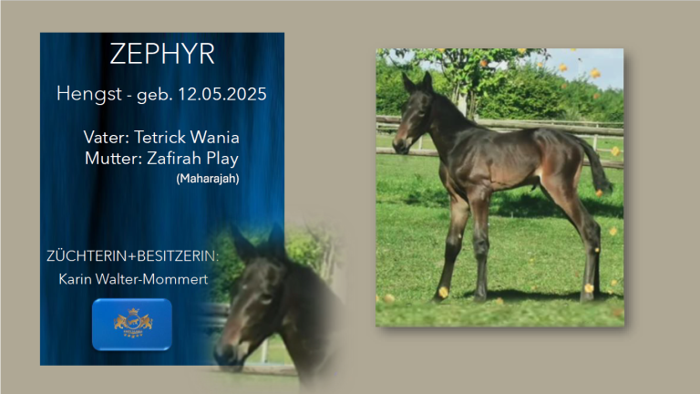 Zephyr
