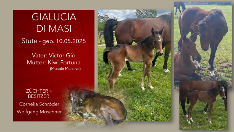 Gialucia di Masi