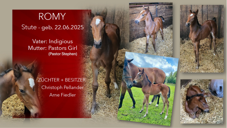 Romy