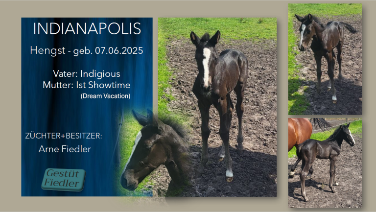 Indianapolis