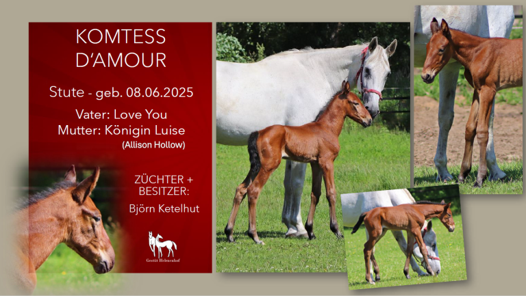 Komtess d'Amour