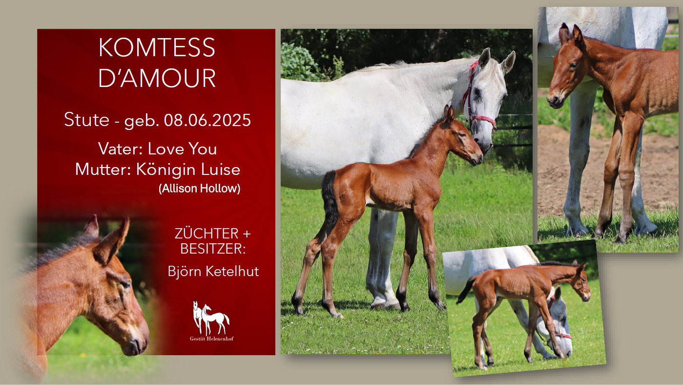 Komtess d'Amour