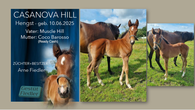 Casanova Hill