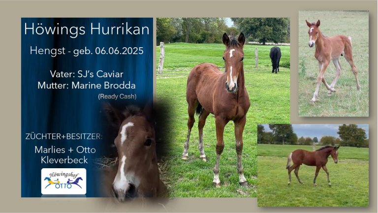 Höwings Hurrikan