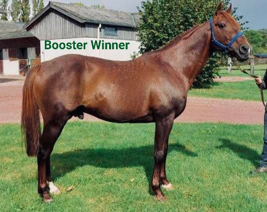 Booster Winner (FR) – 2026
