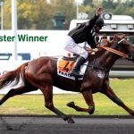 Booster Winner (FR) – 2026