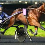 Idao de Tillard (FR) – 2026