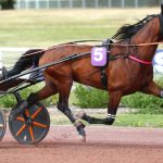 Lovino Bello (FR) – 2026