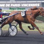 Royal Dream (FR) – 2026
