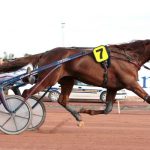 Royal Dream (FR) – 2026