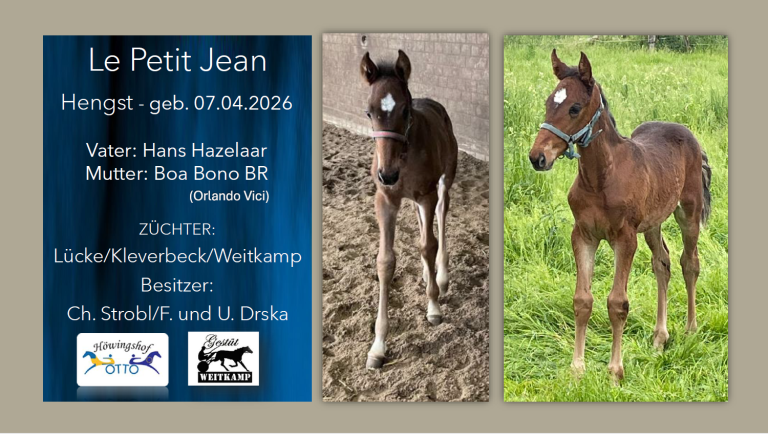 Le Petit Jean