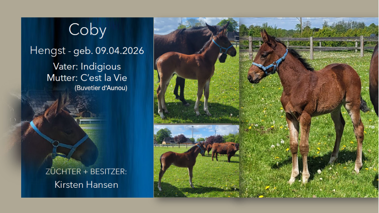 Coby