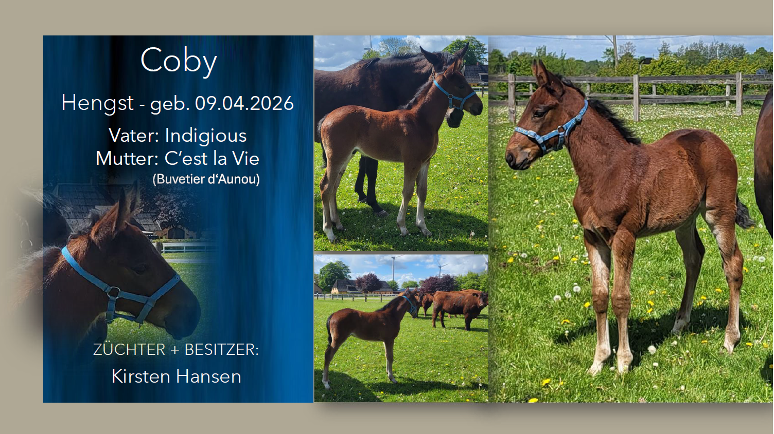 Coby