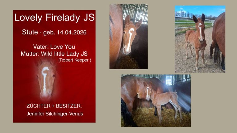 Lovely Firelady JS