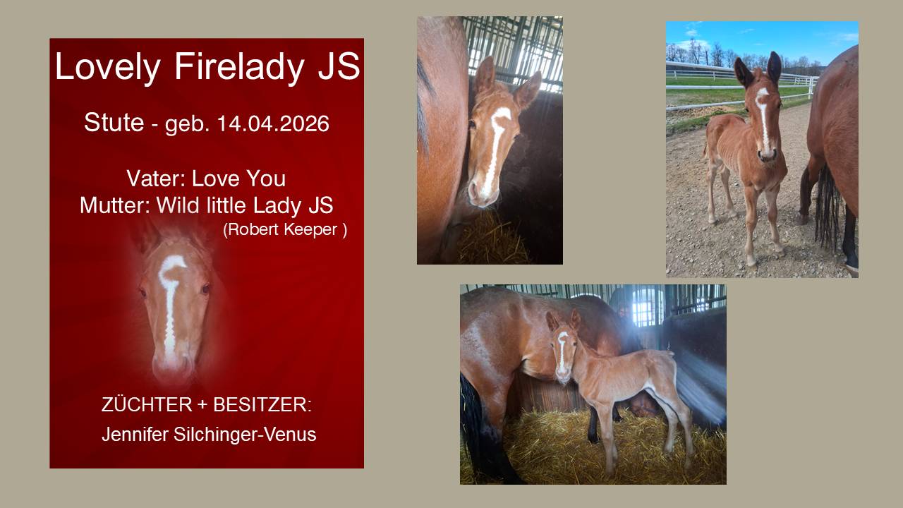 Lovely Firelady JS