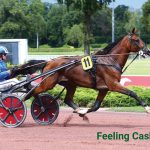 Feeling Cash (FR) – 2026