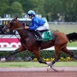 Feeling Cash (FR) – 2026