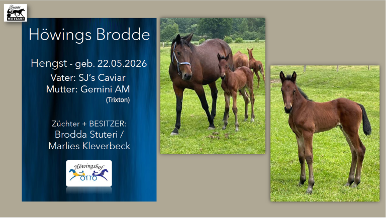 Höwings Brodde