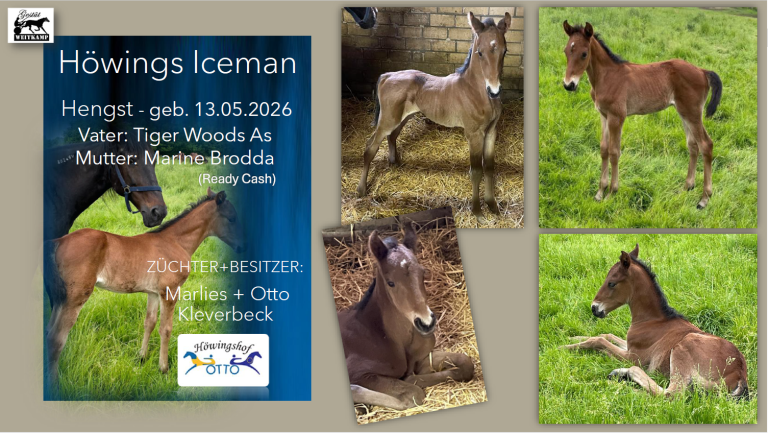 Höwings Iceman