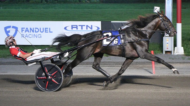 Apex weiter auf Hambo-Kurs