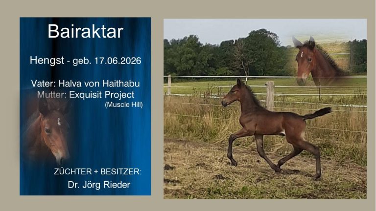 Bairaktar