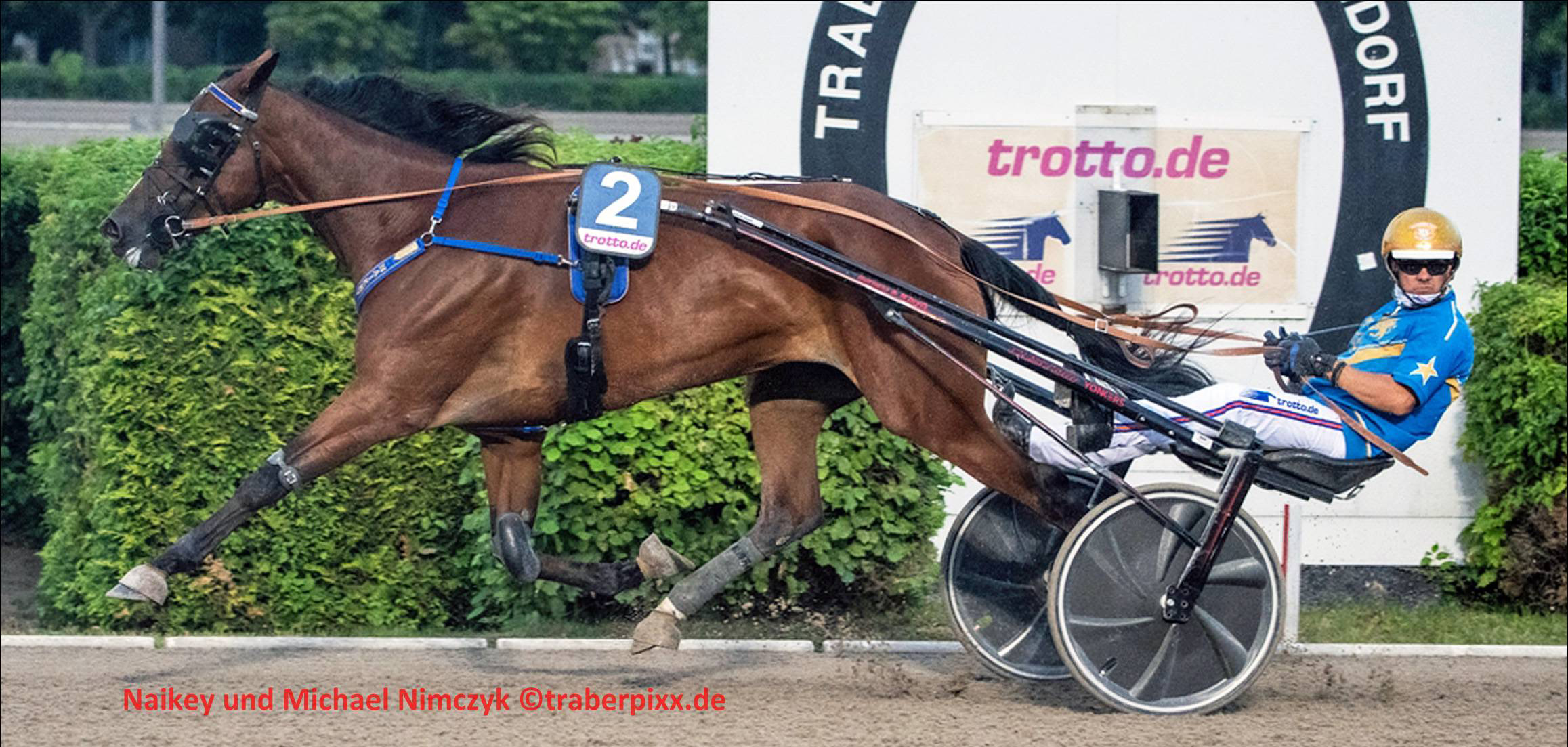 Der Goldhelm holt Gold