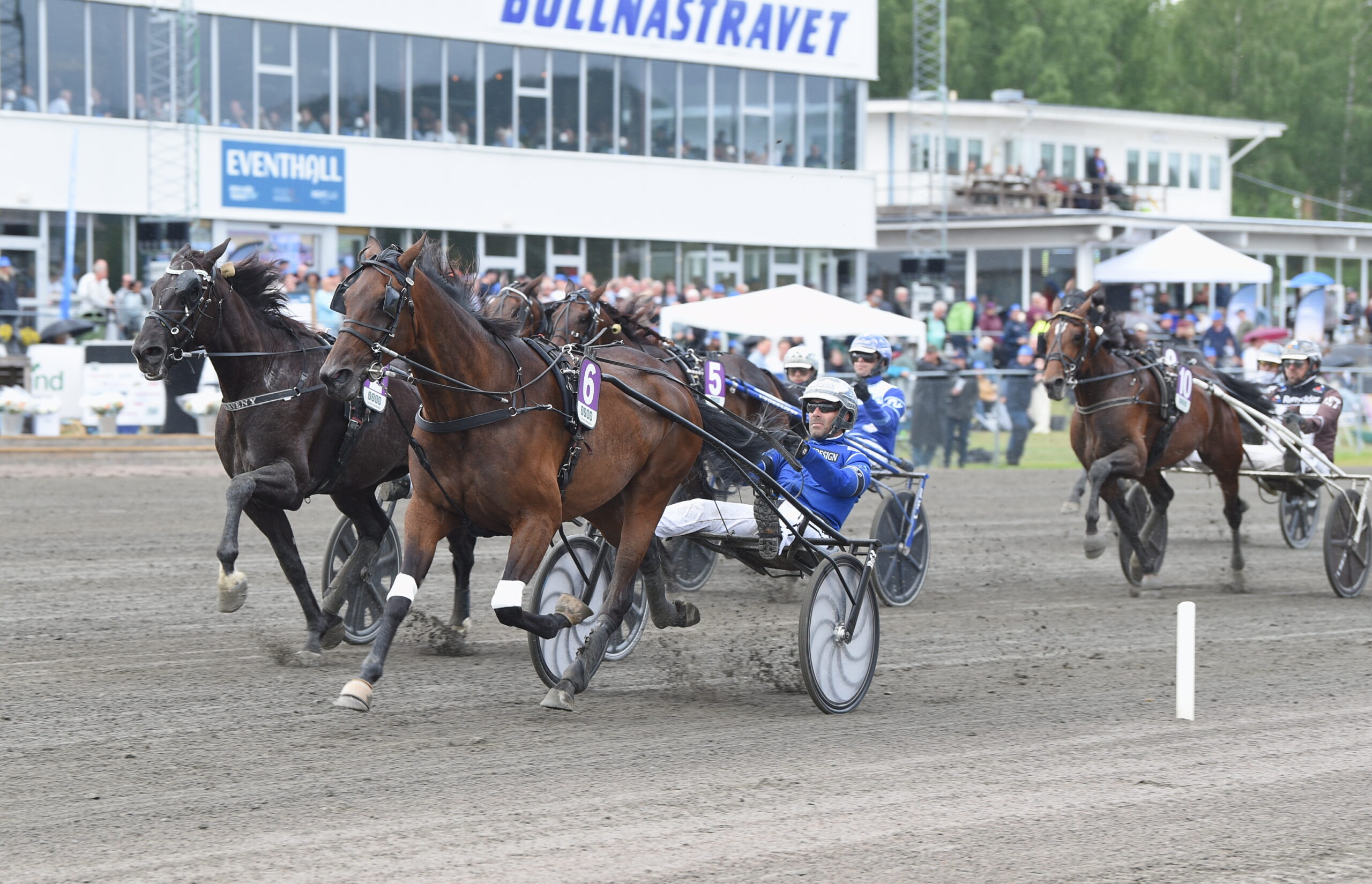 Drittes Gold für Y Not Diamant