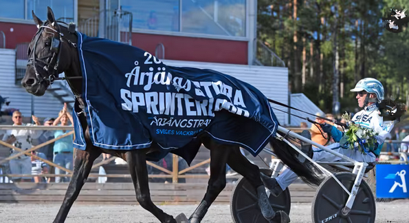 Echter Härtetest