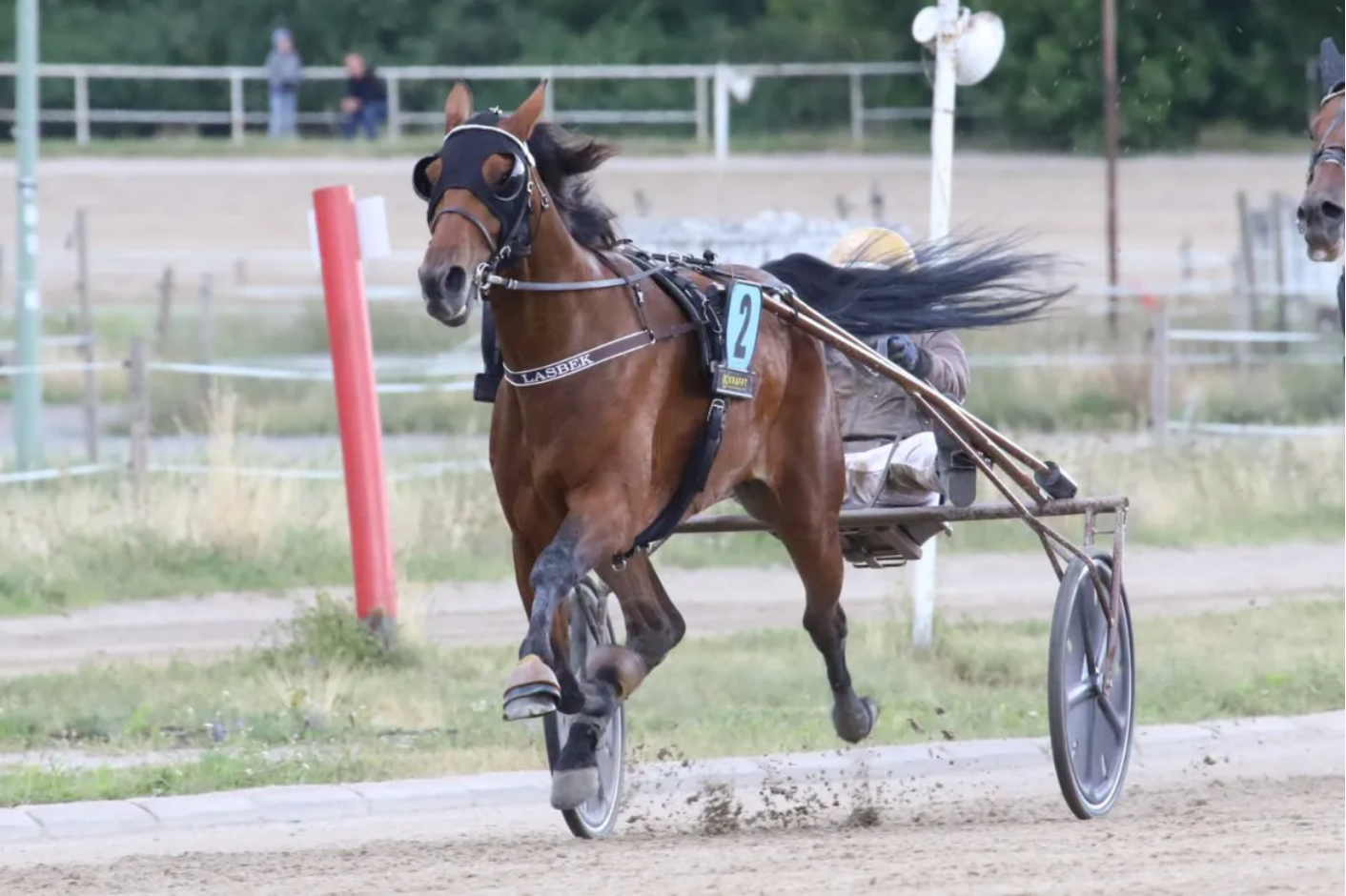 Erfolgreiches BK-Comeback des Goldhelms