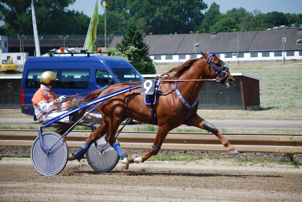 Toller zweiter Platz von King of the World in Vincennes