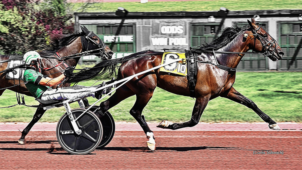 Nordic Catcher ist wieder da