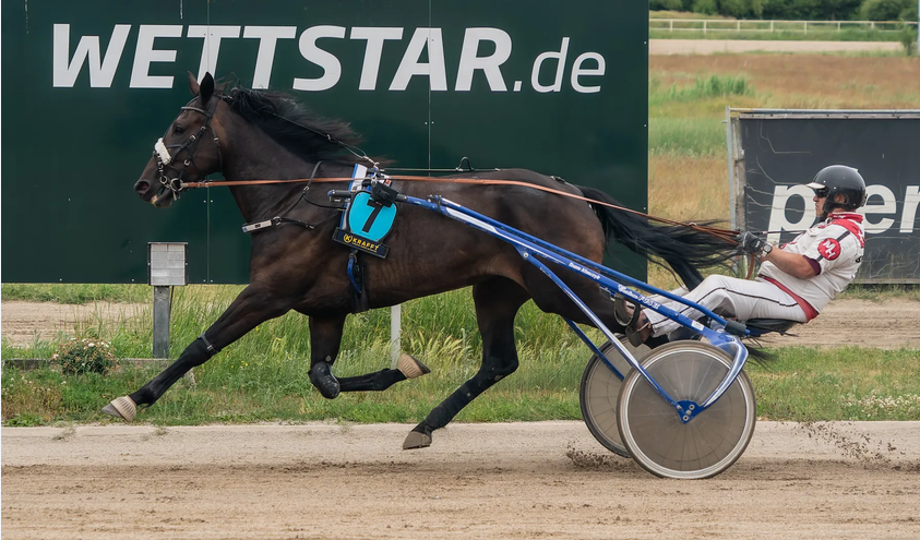 PMU-Nachmittag in der Wuhlheide