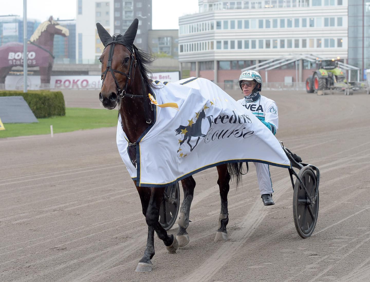 Pure Atlas und Dea Grif ins Breeders-Course-Finale