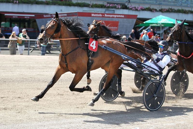 Stuten-Finale und Comeback von Aladin
